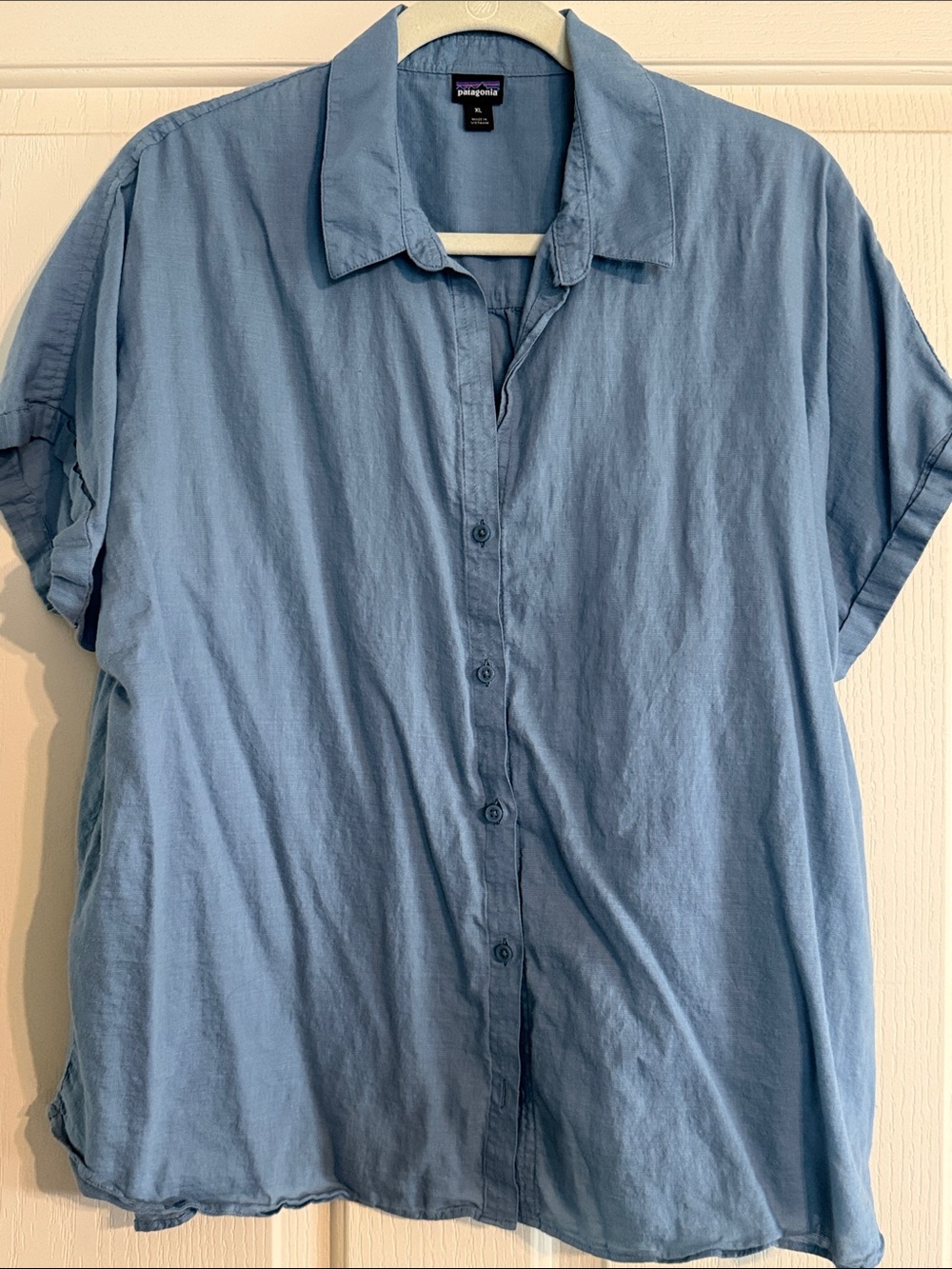 Patagonia Sky Blue Short Sleeve Button-Up Shirt